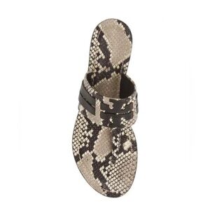 Tory Burch Leigh Snake Print Leather Thong Sandal Warm Roccia Women's Size 6